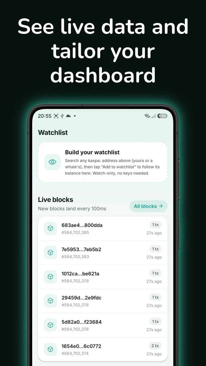 Kaspa wallet watchlist and live blocks feed