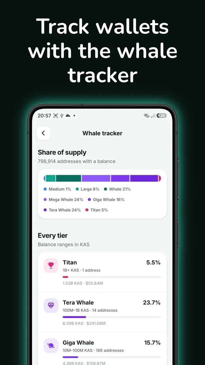 Kaspa whale tracker showing share of supply by wallet tier